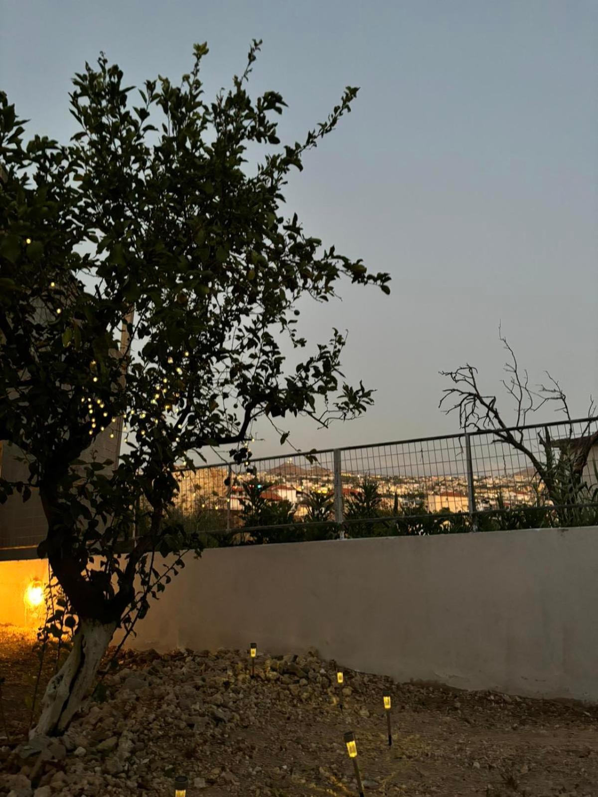 Bibliotheque Vintage Studio & Easy Garden كاندية المظهر الخارجي الصورة